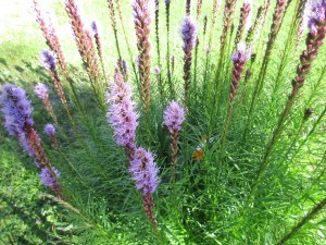 Look hard and you will see my red-haired head!