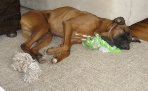 playing with toys can be very exhausting...