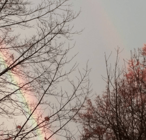 Screenshot_2016-05-24-23-31-45-1