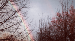 Screenshot_2016-05-24-23-37-56-1