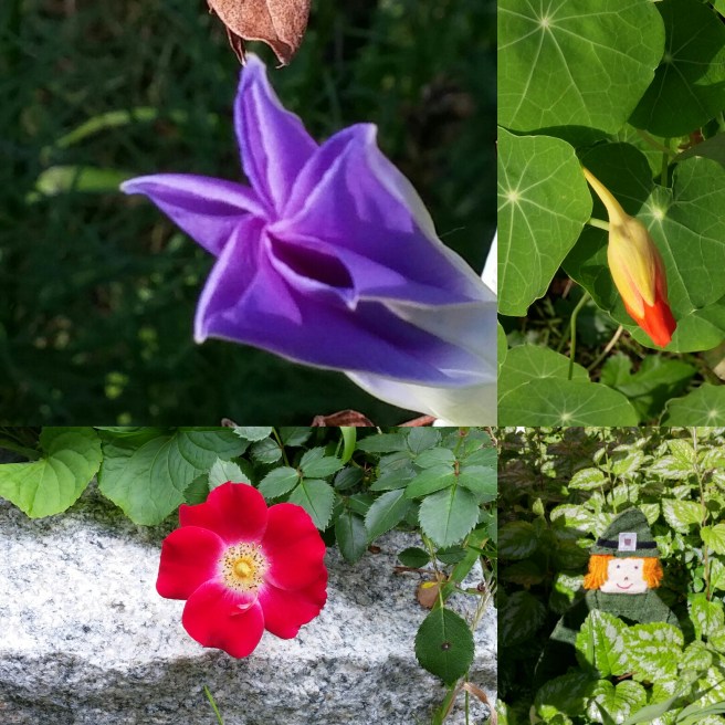 IMG_20160927_162207 (1).jpg