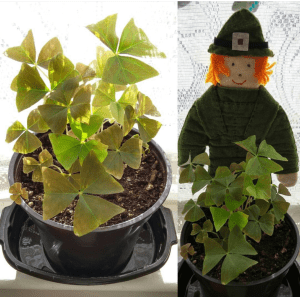 Screenshot_2016-07-24-16-55-45-1