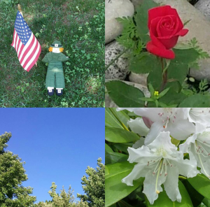 Screenshot_2016-07-24-16-57-22-1