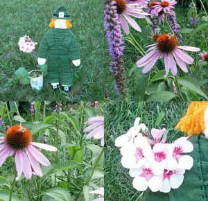 Screenshot_2016-07-24-17-06-36-1