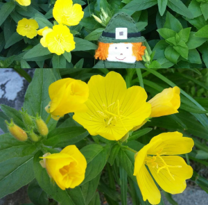 Screenshot_2016-07-24-17-37-26-1