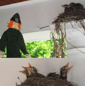 Screenshot_2016-07-25-18-27-33-1-1