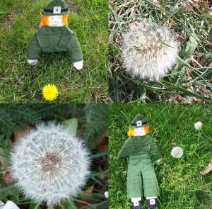 Screenshot_2016-07-31-14-57-34-1