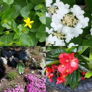 Screenshot_2016-07-31-14-57-39-1