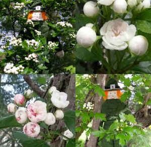 Screenshot_2016-07-31-16-21-55-1