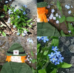 Screenshot_2016-08-01-13-53-14-1