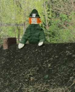 Screenshot_2016-08-01-22-21-51-1