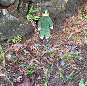 Screenshot_2016-08-05-19-17-03-1