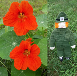 screenshot_2016-09-08-14-34-52-1