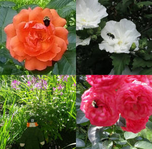 screenshot_2016-09-08-14-35-18-1