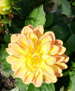 screenshot_2016-10-19-21-34-55