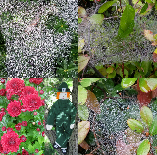 screenshot_2016-10-10-21-11-17