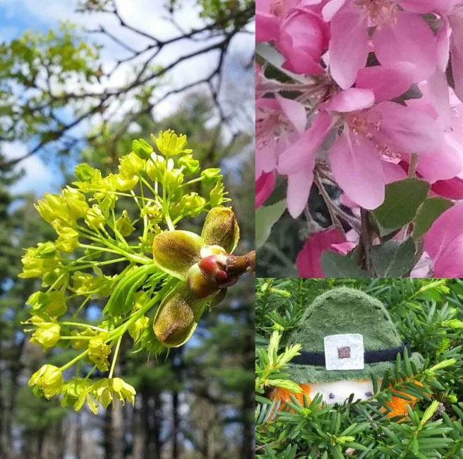 Screenshot_2017-08-25-09-33-21-1