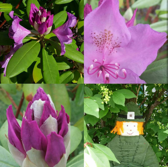 Screenshot_2017-08-25-09-33-36-1