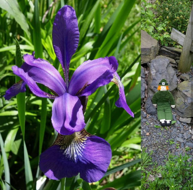 Screenshot_2017-08-25-09-33-51-1