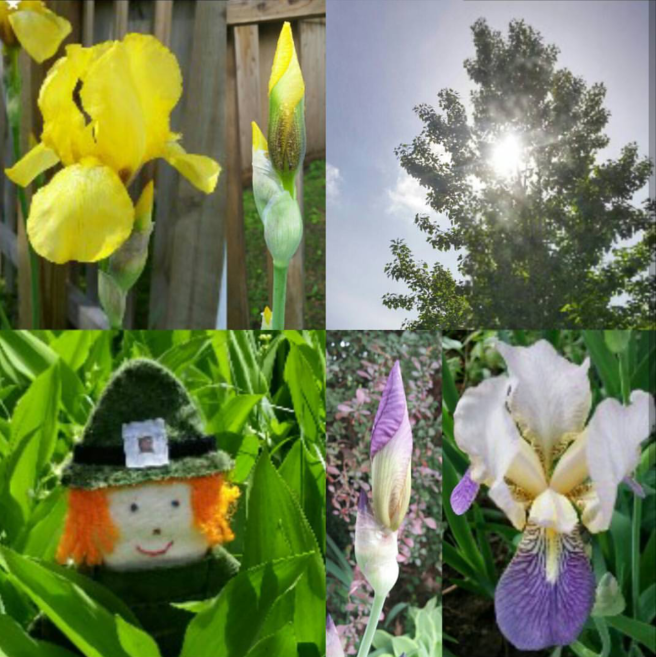 Screenshot_2017-08-25-09-33-56-1