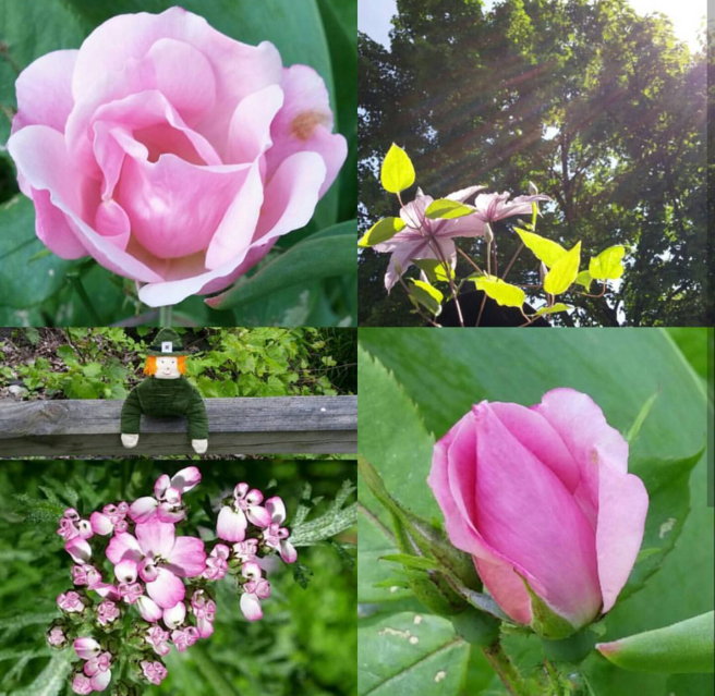 Screenshot_2017-08-25-09-34-05-1-1-1