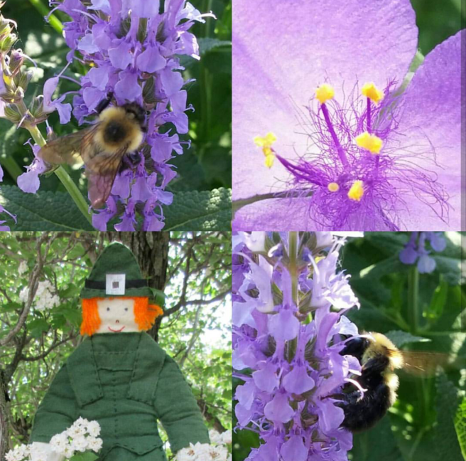 Screenshot_2017-08-25-09-34-15-1