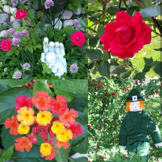 Screenshot_2017-08-25-09-34-24-1