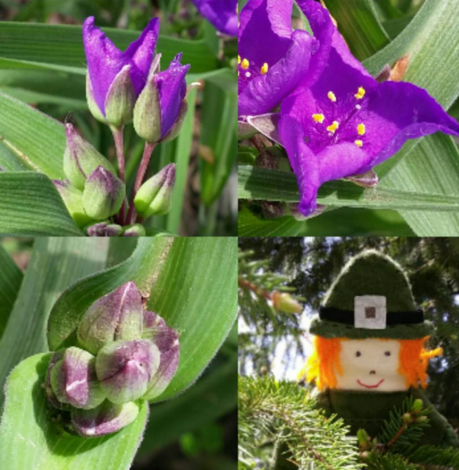 Screenshot_2017-08-25-09-34-42-1