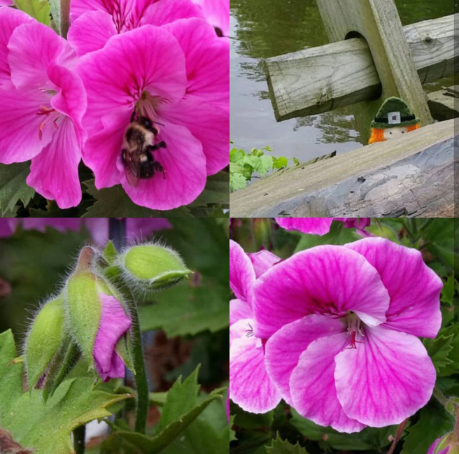 Screenshot_2017-08-25-09-35-10-1