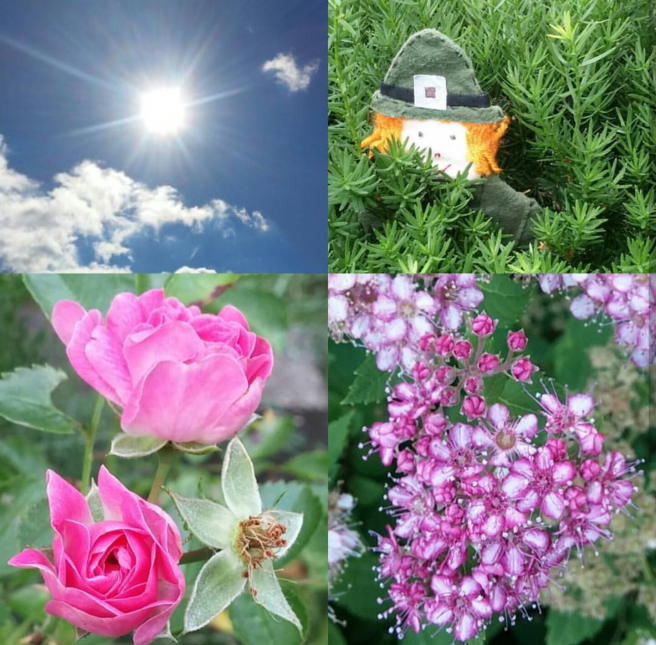 Screenshot_2017-08-25-09-35-33-1