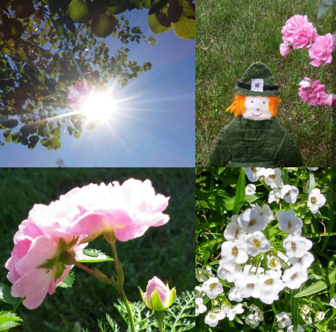 Screenshot_2017-08-25-09-35-52-1