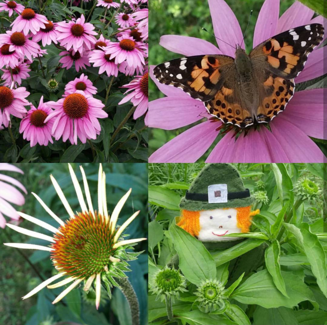 Screenshot_2017-08-25-09-36-01-1