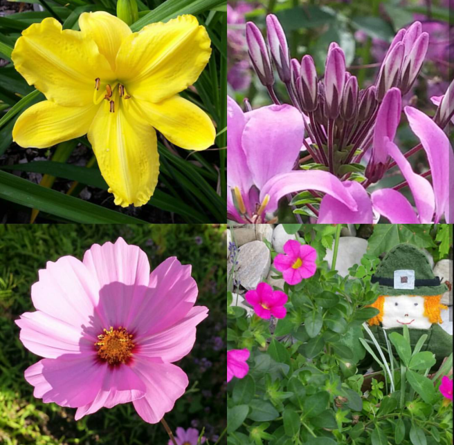 Screenshot_2017-08-25-09-36-09-1