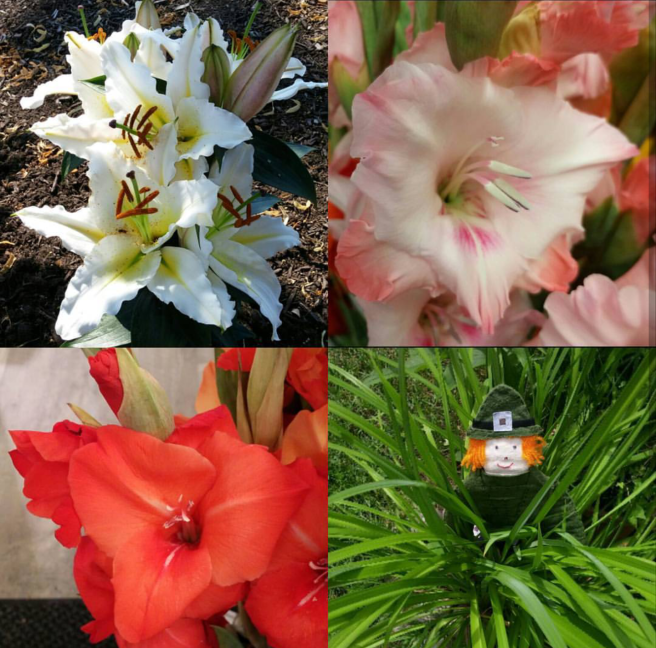 Screenshot_2017-08-25-09-36-14-1