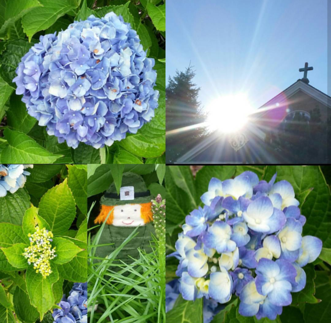 Screenshot_2017-08-25-09-36-29-1